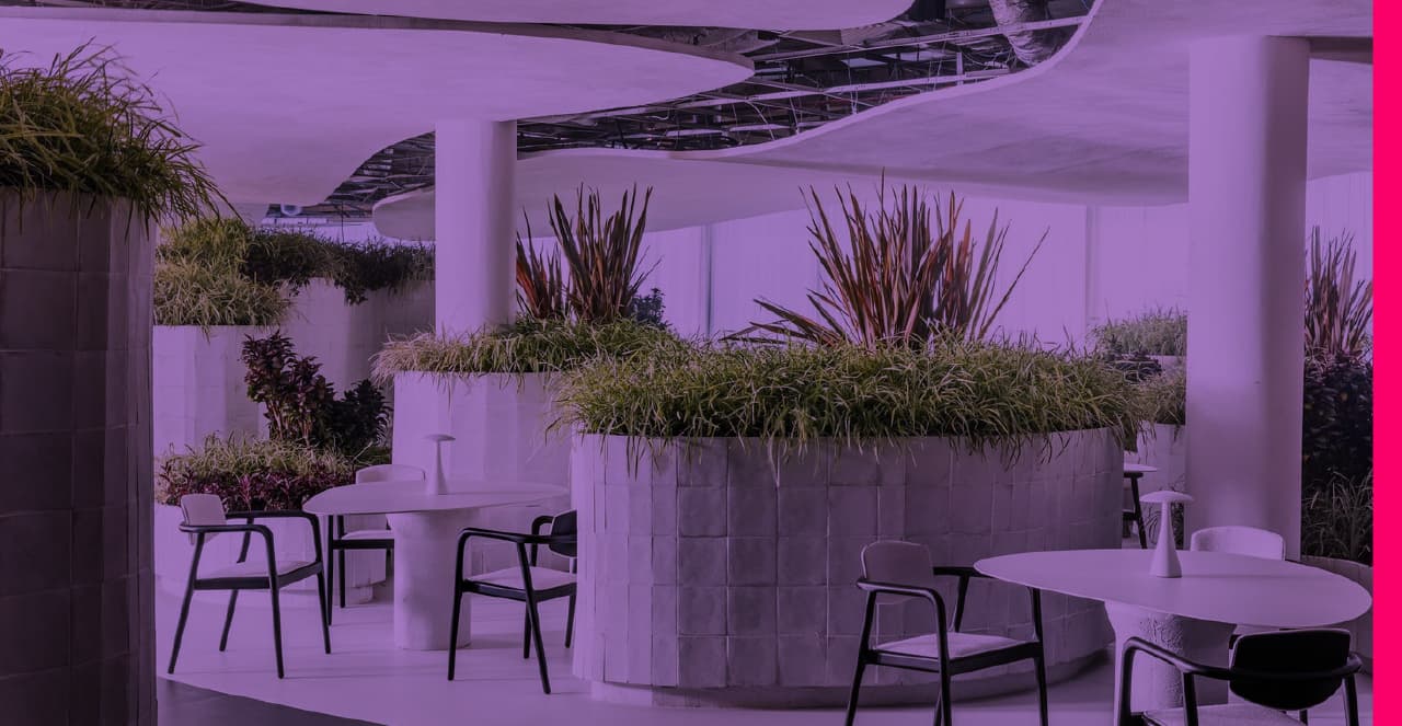 Biofilia: ambientes integrados à natureza e com foco no bem-estar