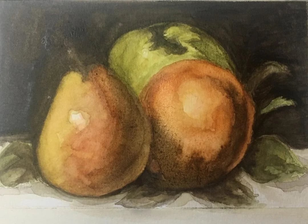 Aquarela de uma natureza-morta com uma pera amarela e uma maçã alaranjada sobre fundo escuro